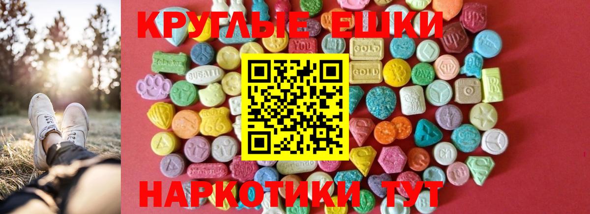 МЕФ Барнаул