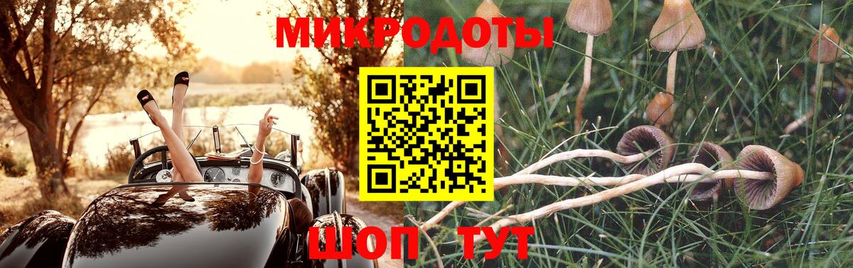 Галлюциногенные грибы ЛСД Барнаул