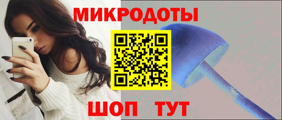 Псилоцибиновые грибы Psilocybine cubensis Барнаул