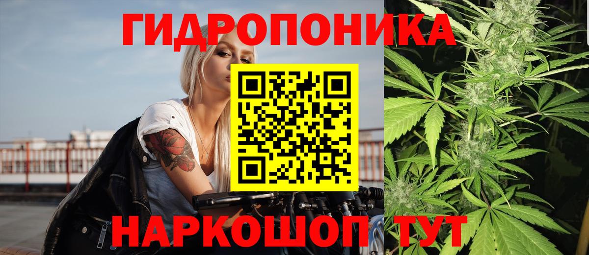 Конопля тримм  Канабис Ganja  Бошки Шишки план  Барнаул  Шишки марихуана AK-47 